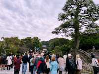 鶴岡八幡宮｜鎌倉最具代表性的神社散步路線 ⛩️🍁