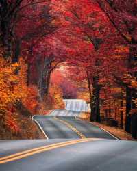 俄譯芳名藏古韻，鍋盔山秋醉亞布力