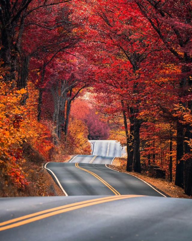 俄譯芳名藏古韻，鍋盔山秋醉亞布力