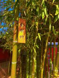 初冬·暖陽·古剎