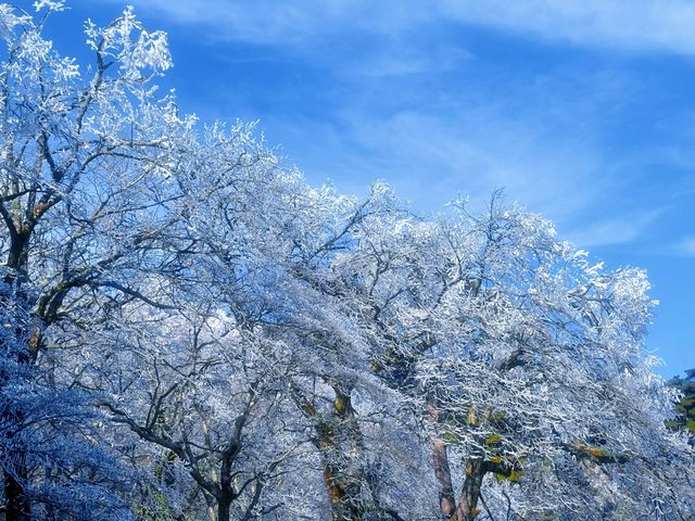 秋日必爬黃山絕美路線