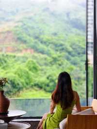 在版納雨林裡住進了現實版《飛屋環遊記》！