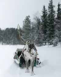 2025聖誕境外遊Top5！絕美之城刷爆朋友圈