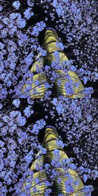 上海真的殺瘋了！！！！！！！！！！！！！