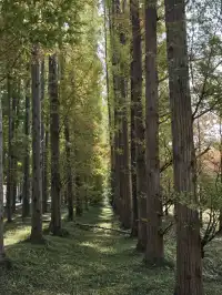 鹽城｜江蘇肯尼亞名不虛傳