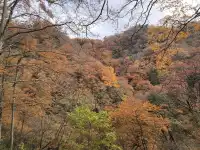 2025年11月2日到11月6日的光霧山與西安之旅