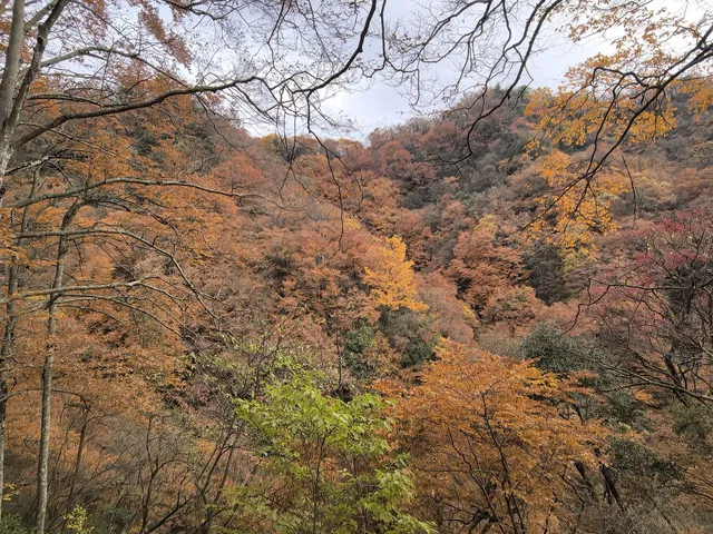 2025年11月2日到11月6日的光霧山與西安之旅