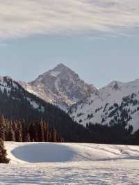 伊犁|冬天的避寒之地
