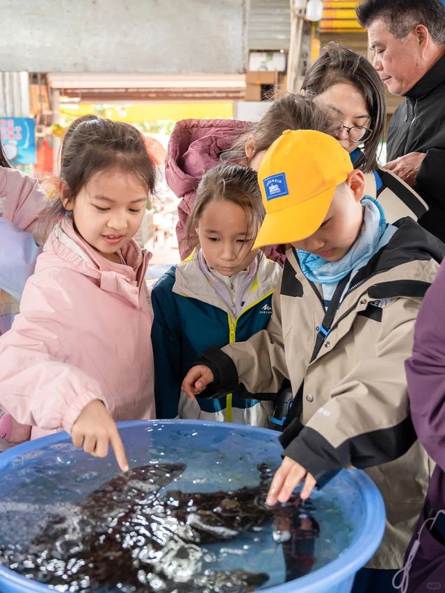 人生建議!11月-3月一定要帶娃去桂西南 人生建議!11月-3月一定要帶娃去桂西南