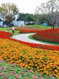 深圳地鐵直達的彩虹花海!這個公園太寶藏