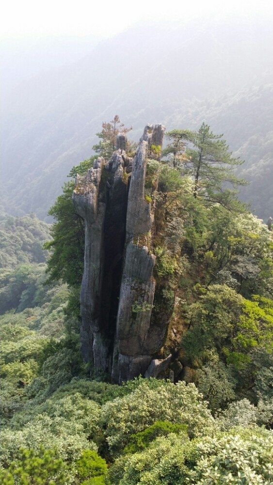江西宜春明月山｜現實版人間仙境絕美雲海攻略
