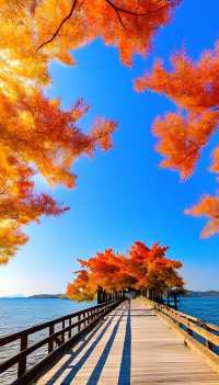 杭州西湖一日遊攻略絕美秋景+懶人必看路線