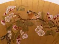 為了欣賞它，值得一去再去