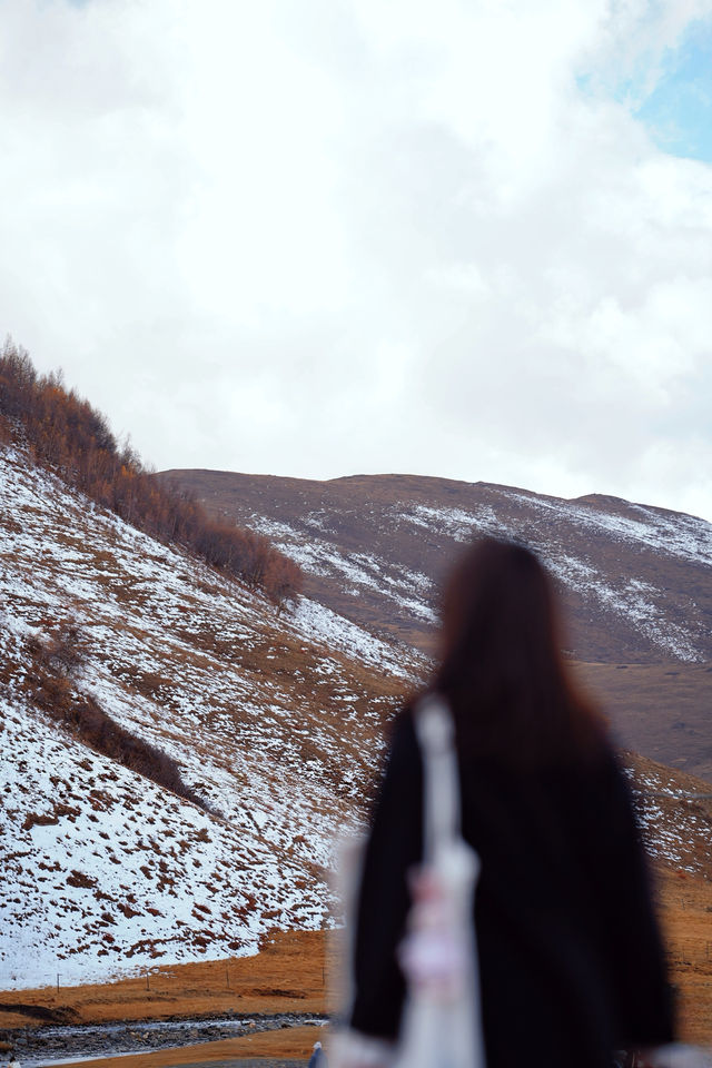 壯美雪山秘境打卡姑弄村的半日悠閒 壯美雪山秘境打卡姑弄村的半日悠閒