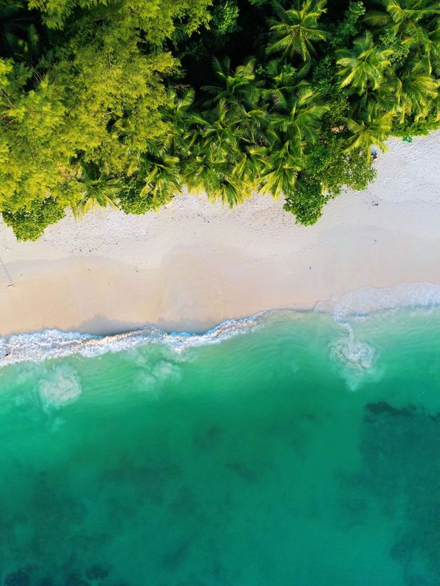 18天馬達加斯加等多國遊必看攻略