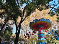 上海共青森林公園|秋日限定浪漫被我發現了