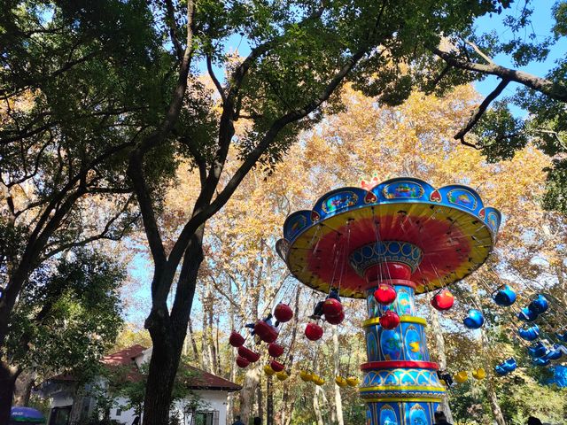 上海共青森林公園|秋日限定浪漫被我發現了 上海共青森林公園|秋日限定浪漫被我發現了