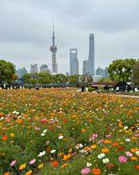 魔都版莫奈花園打卡|四季皆美,打卡不踩雷