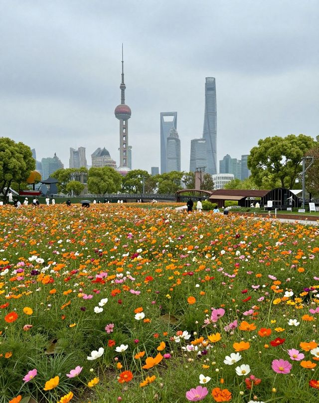 魔都版莫奈花園打卡|四季皆美,打卡不踩雷 魔都版莫奈花園打卡|四季皆美,打卡不踩雷