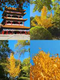 可惜你不來宜春 秋日限定打卡攻略大全