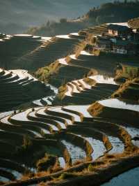 雲和梯田親子慢遊!無車版秋日田園攻略