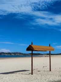 路的盡頭是海,但自由沒有盡頭