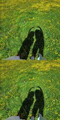 甲根壩納梯村實拍