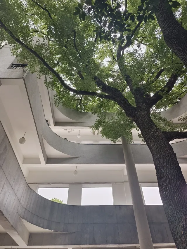 DAY3昙華林 DAY3昙華林