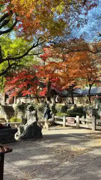 12.1號實況，青島崂山太清宮殺瘋了！