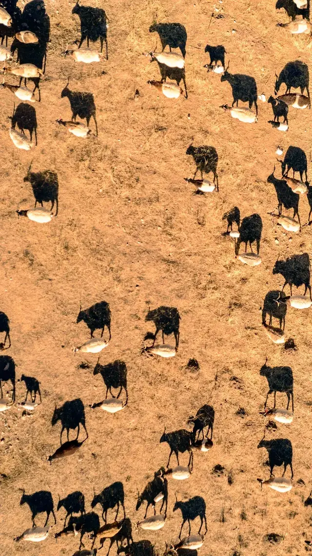 誰懂南方人第一次到甘肅的震撼 誰懂南方人第一次到甘肅的震撼