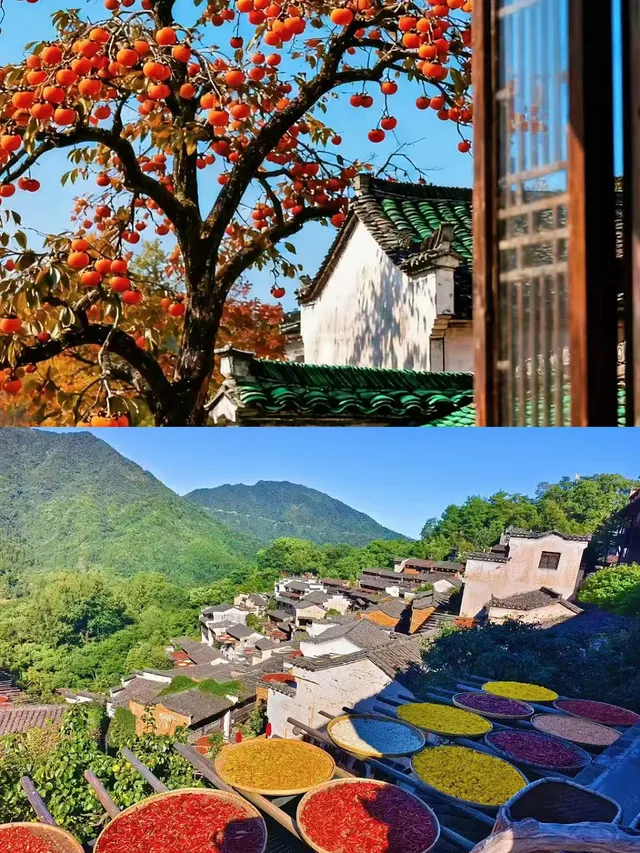 上饒我來了！上海出發3天玩轉清婺景～