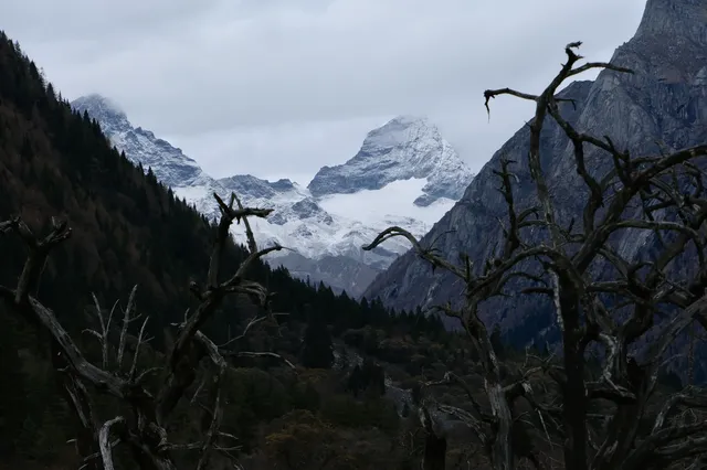 四姑娘山2日遊｜雙橋溝漂流+長坪溝騎馬