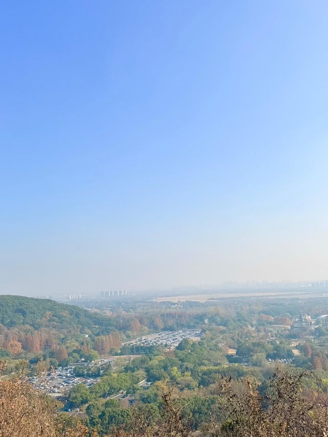 上海佘山東西連穿徒步攻略：人文與自然的親子輕徒路線