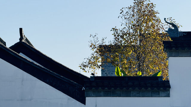 古典美學老門東南京文藝范古街區打卡指南 古典美學老門東南京文藝范古街區打卡指南