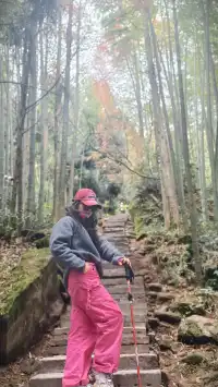 【成都天台山手記|與螢火一起登頂的初夏】