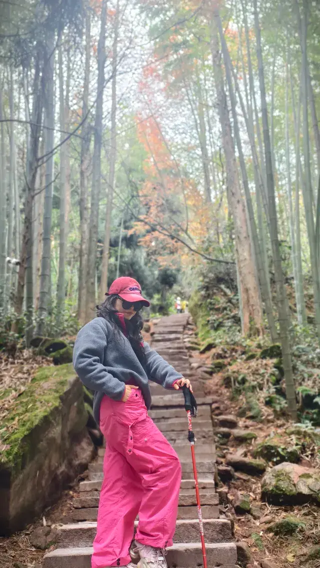 【成都天台山手記|與螢火一起登頂的初夏】 【成都天台山手記|與螢火一起登頂的初夏】