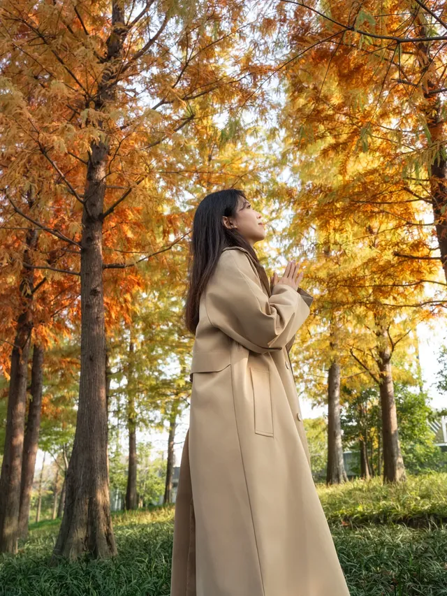 被問瘋的上海楓葉旋梯錯過真的等一年… 被問瘋的上海楓葉旋梯錯過真的等一年…