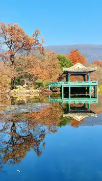 流徽榭，美得像金陵深秋的油畫秘境~