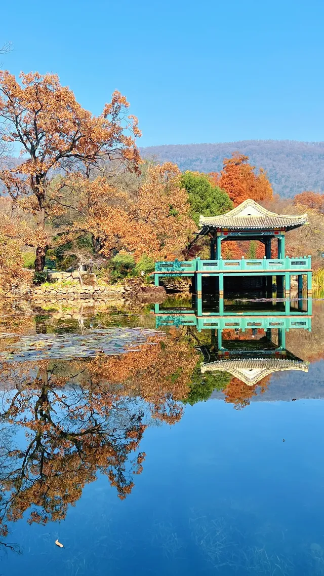 流徽榭，美得像金陵深秋的油畫秘境~