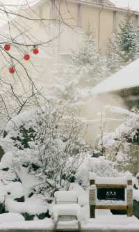 長白山滑雪住喜來登 南方小土豆的冰雪世界