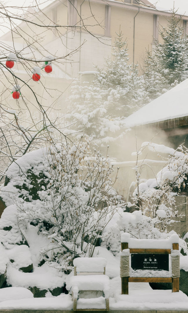長白山滑雪住喜來登 南方小土豆的冰雪世界 長白山滑雪住喜來登 南方小土豆的冰雪世界