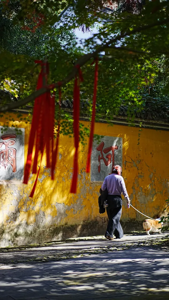 安吉｜靈峰山與章里古道