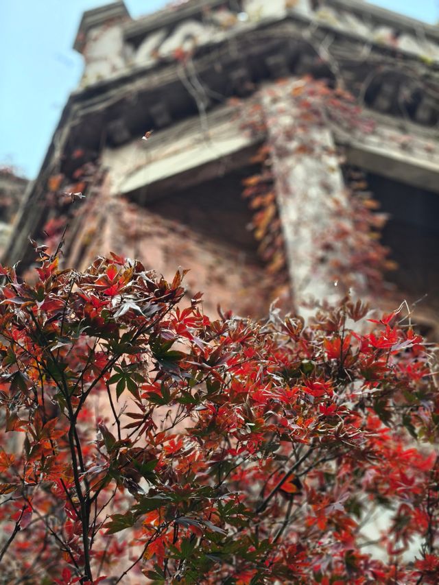 上海新天地聖誕氣氛正濃 上海新天地聖誕氣氛正濃