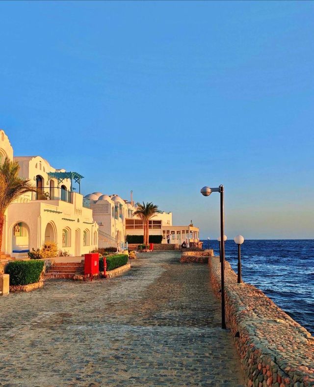 埃及紅海全包酒店天花板!這性價比絕了 埃及紅海全包酒店天花板!這性價比絕了