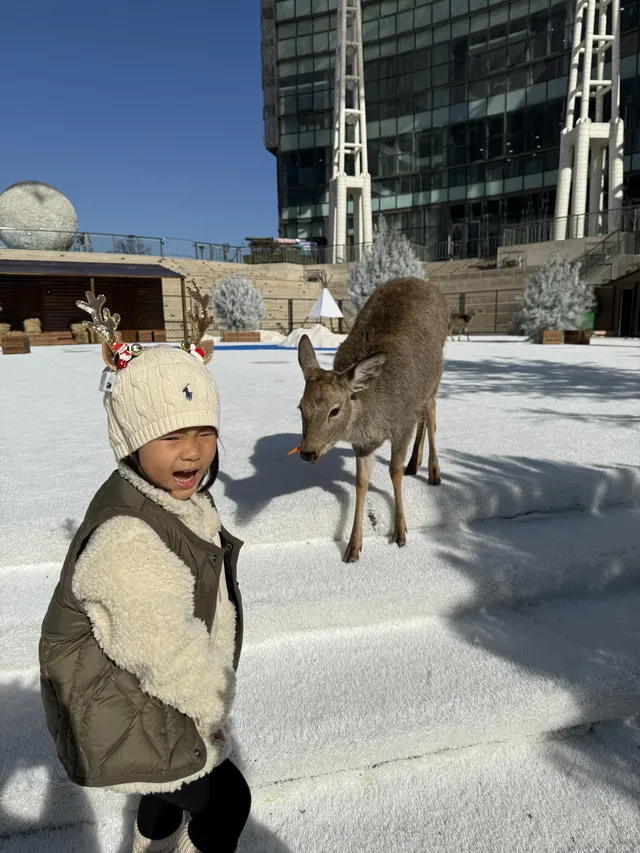 小來黃島嘉年華海信廣場啦~ 小來黃島嘉年華海信廣場啦~