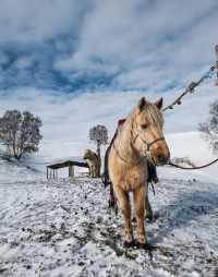冬日烏蘭布統冰雪攻略