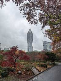 上海人民公園層林盡染,藏不住的秋日浪漫!