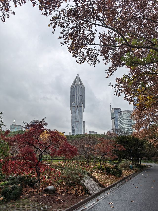 上海人民公園層林盡染,藏不住的秋日浪漫! 上海人民公園層林盡染,藏不住的秋日浪漫!