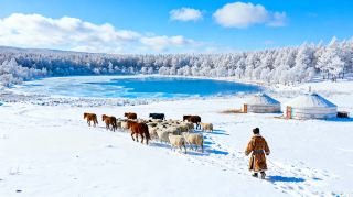 フルンベイル＋アルシャン6日5泊の楽しみ方がついに見つかりました