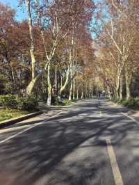 色彩繽紛的淮扬菜